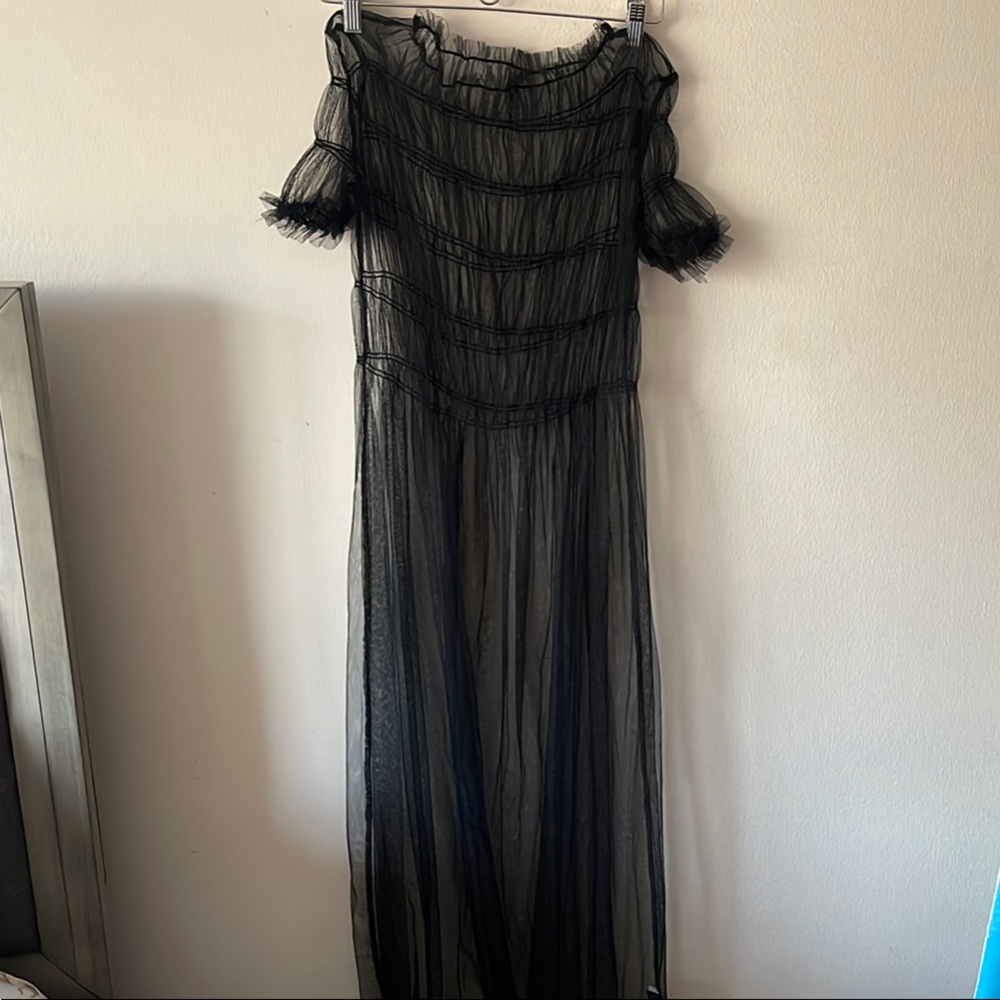 Elegant Black Sheer Dress
